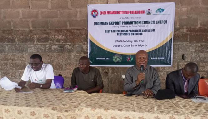 Cocoa Farmers Trained In Osun, Urged To Adopt Modern Cultivation Methods