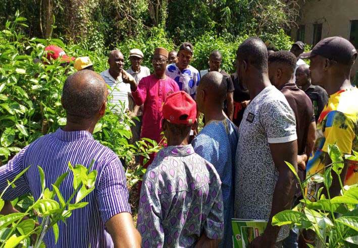 Sensitization for Optimum Lowland Tea Production and Processing in Cross River State